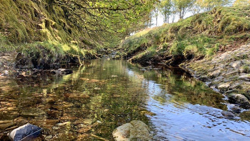 Hoccombe Water as you cross at the medieval village