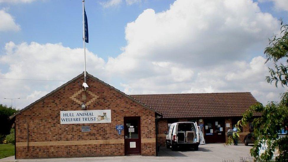 Hull Animal Welfare Trust's Sunnydene shelter in South Cave