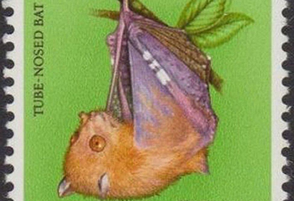 Tube-nosed bat stamp