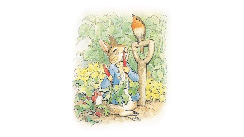 An original drawing of Peter Rabbit in a grocery patch eating a carrot