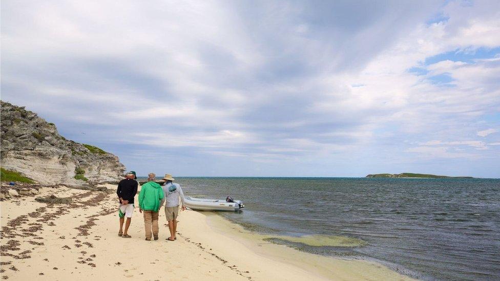 A picture of crew members in Hawks Nest Harbour