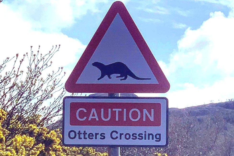 Otters sign