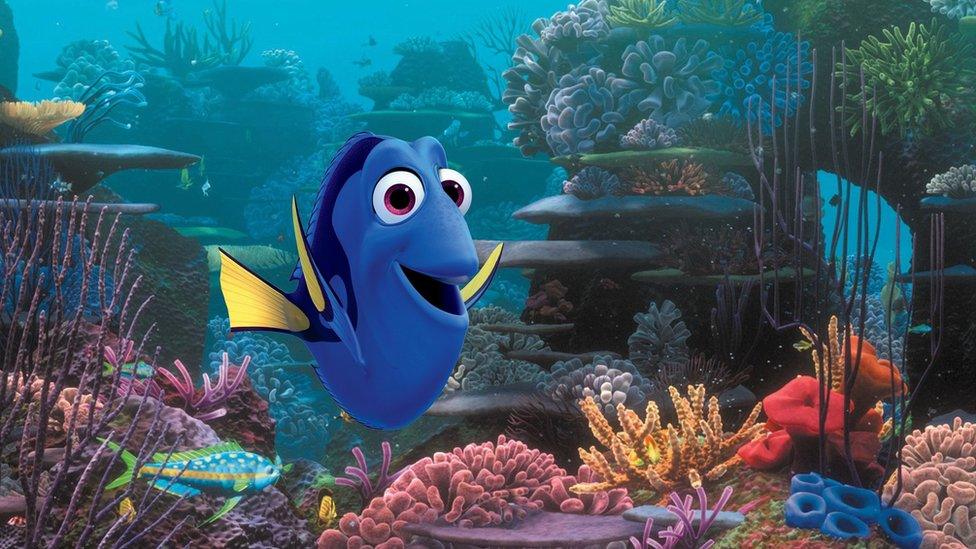 Finding Dory