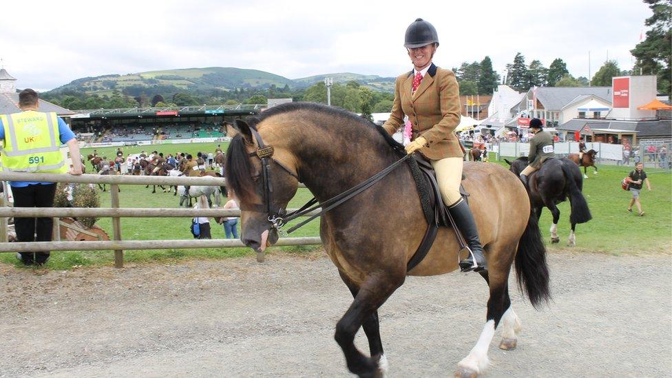 Claire Fitch o Ross on Wye ar gefn ei cheffyl Menai Eurostar, a enillodd yn y dosbarth Stallion Ridden horse…