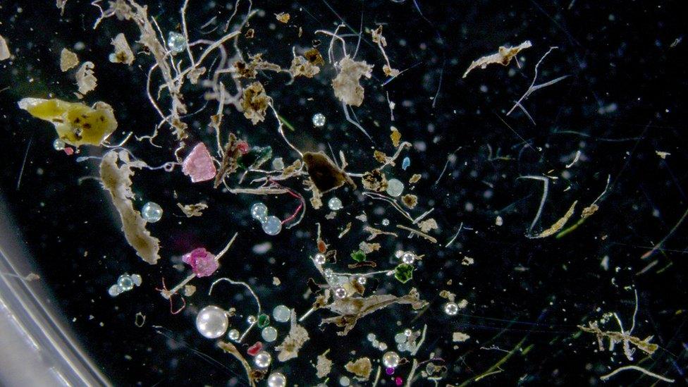 Microplastic fibres, fragments and beads build up in the riverbed until a flood flushes them downstream