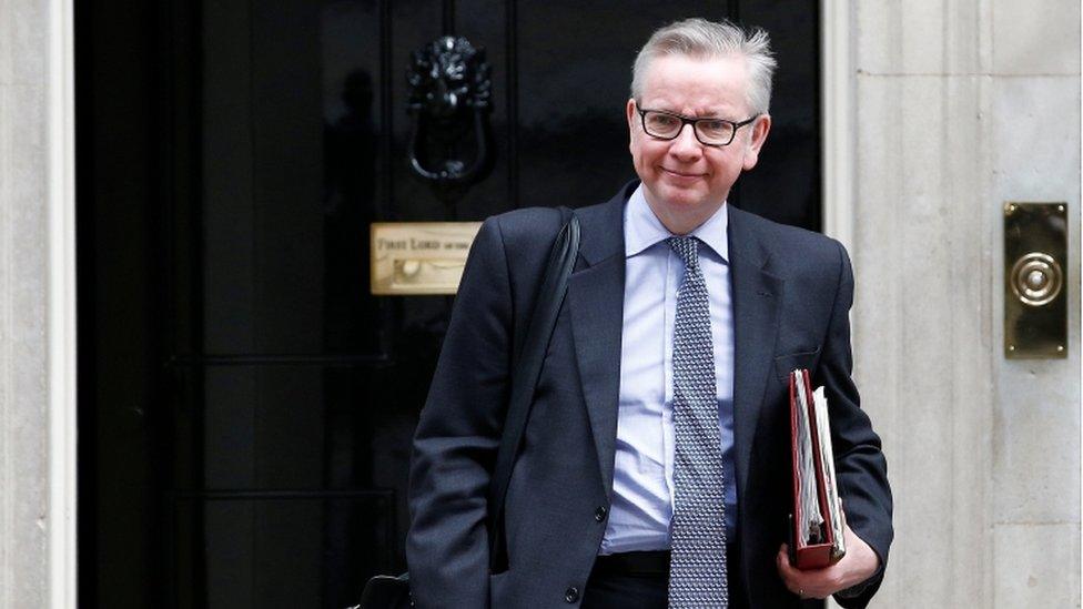 Michael Gove outside 10 Downing Street