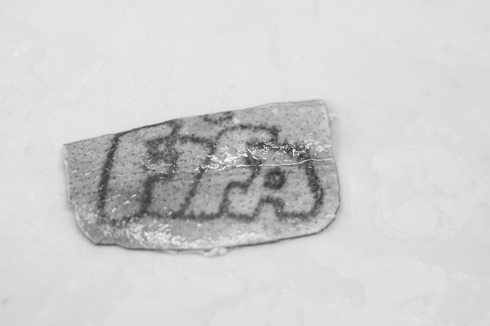 A tattoo on a piece of skin