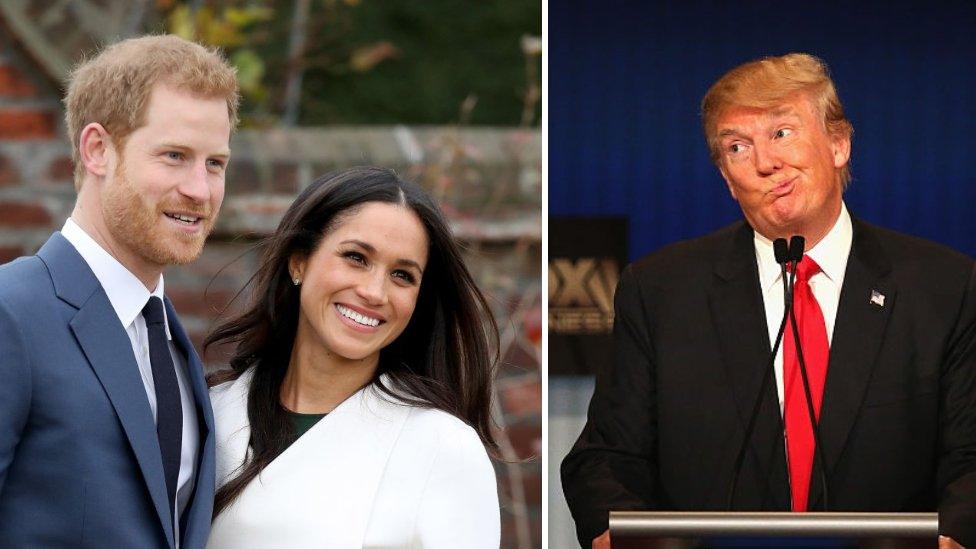 harry,meghan,trump