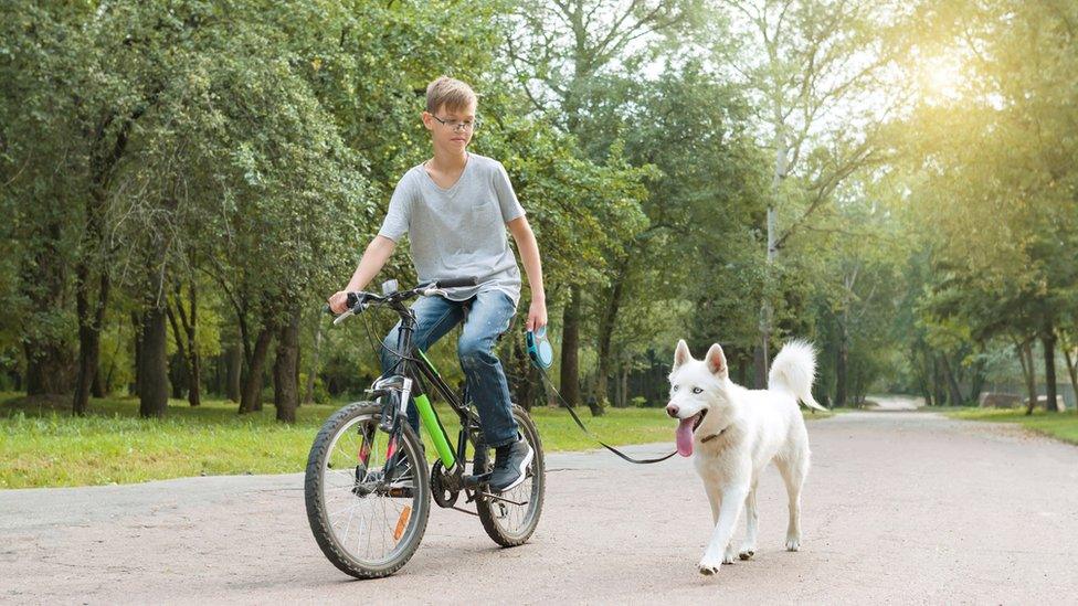 teen on bike with dog