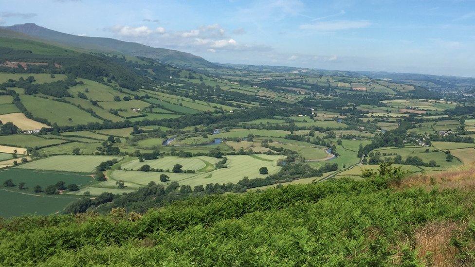 View from Allt yr Esgair near Talybont