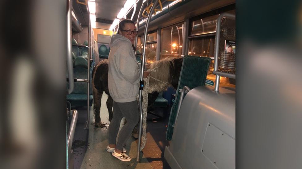 A horse and Harley Stephens on a bus