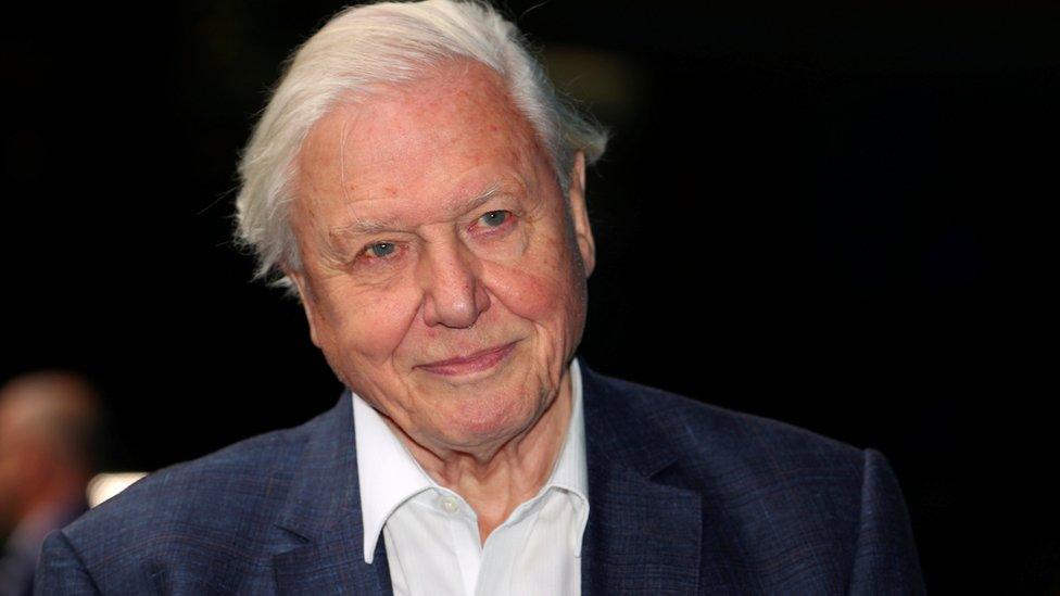 Sir David Attenborough