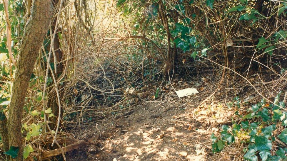 The area in Wild Park in Brighton where the bodies of Karen Hadaway and Nicola Fellows were found