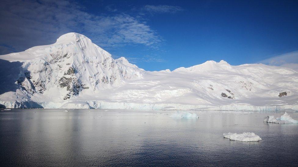 The Antarctic Peninsula