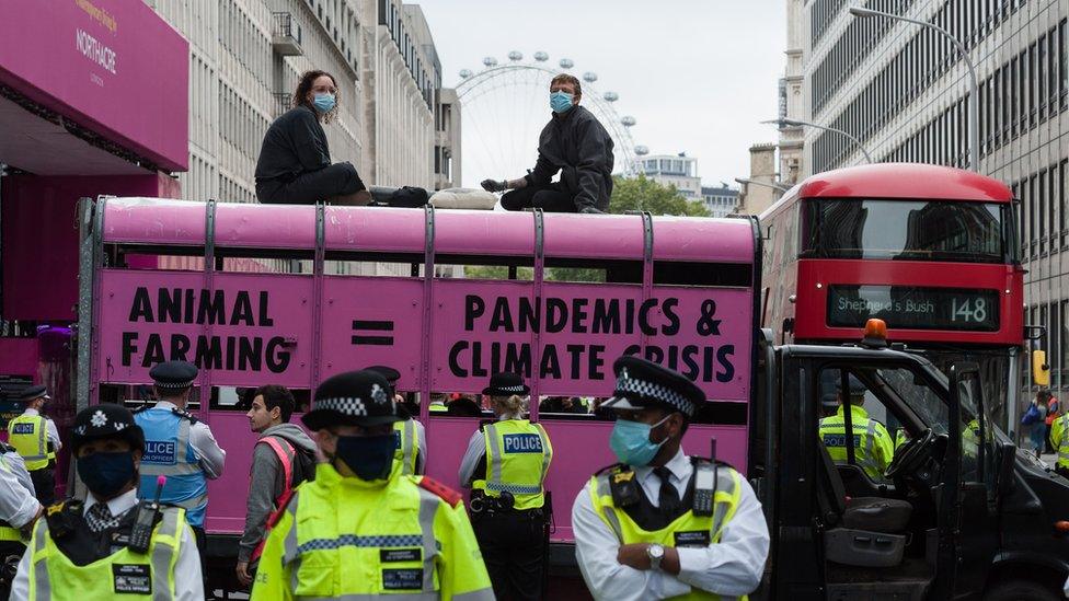 Protesters glued to the top of a slaughterhouse van painted pink