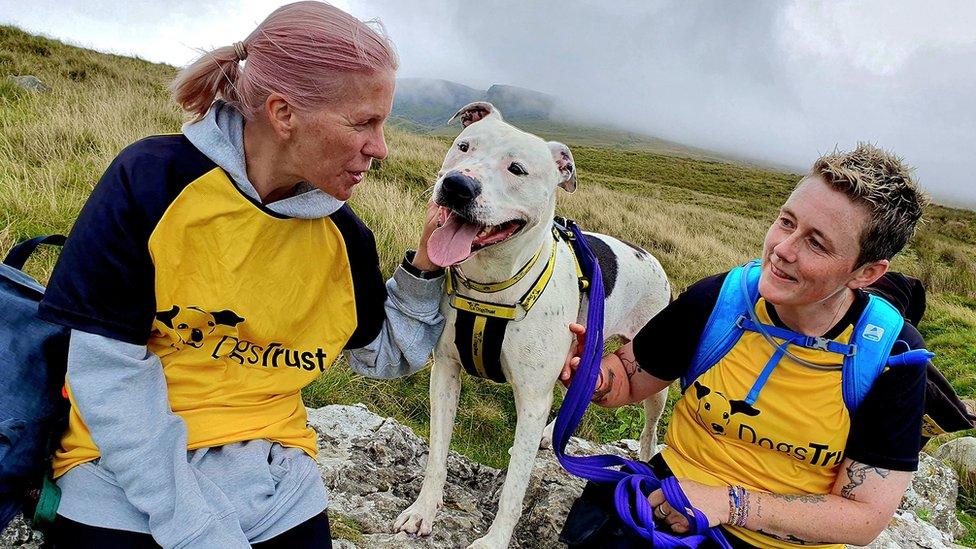 Amy Ross and Amy Carlin on Ingleborough with Mila