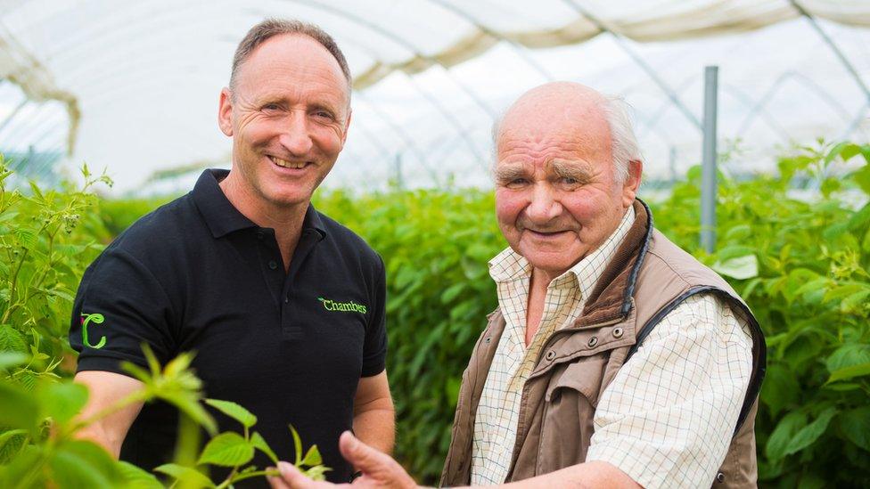 Tim Chambers (l) and John Chambers in a polytunnel