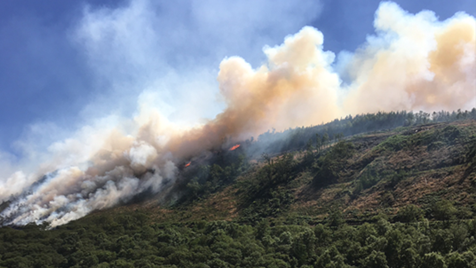 Fire at Cwm Rheidol