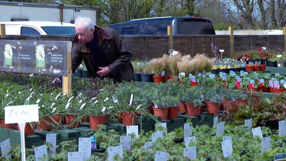 Grow Guernsey Natives