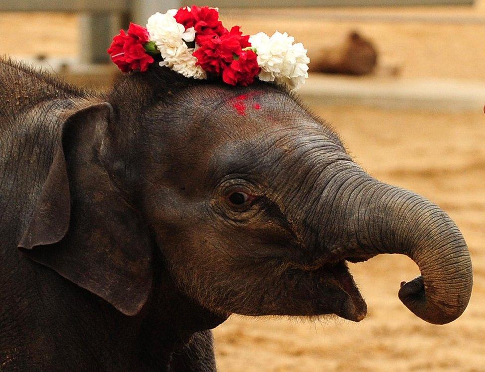 Ganesh Vijay being named and blessed during a Hindu ceremony,