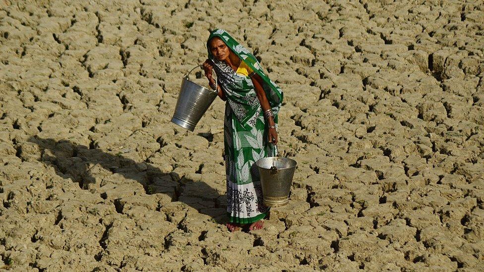 An Indian woman walks on a dried and cracked water pond as she carries bucket to take drinking water in Kaushambi