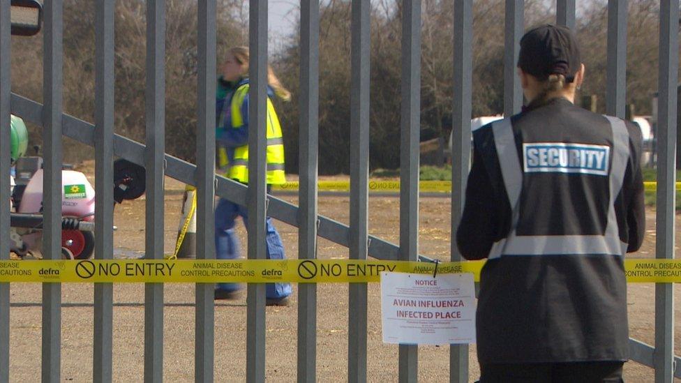 Security outside the Gressingham Foods site at Debach, near Woodbridge