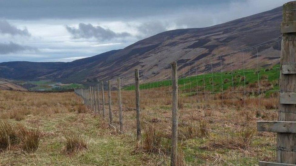 Strath of Kildonan in Sutherland