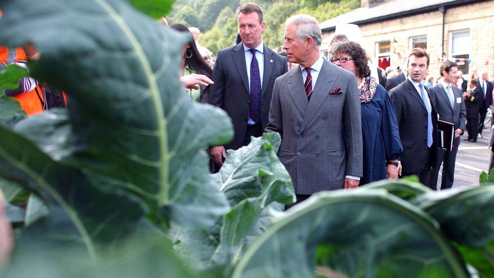 Prince Charles at Todmorden