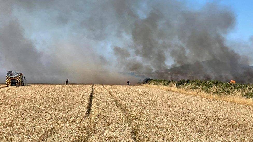 Fire in a field