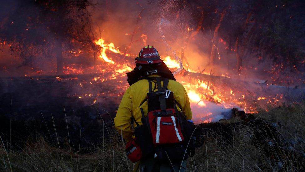 firefighter moving towards burning woodland