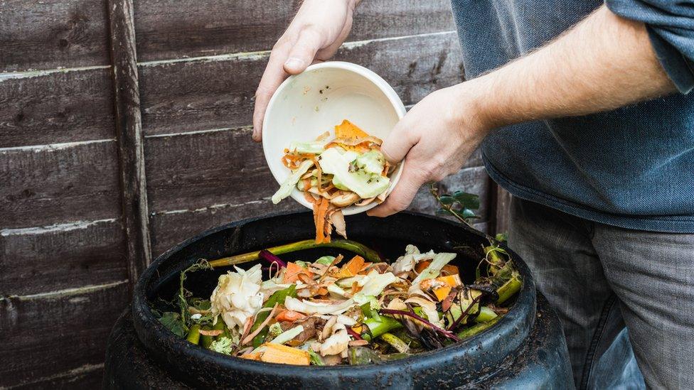 Compost bin.