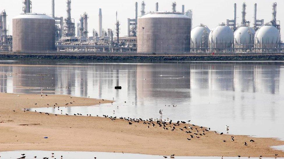 The sands at Seal Sands with industrial building behind