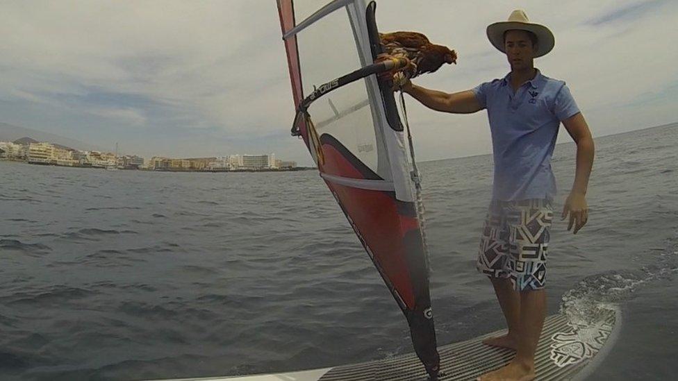 Sailor Guirec Soudee and hen Monique on a windsurf in the Antilles