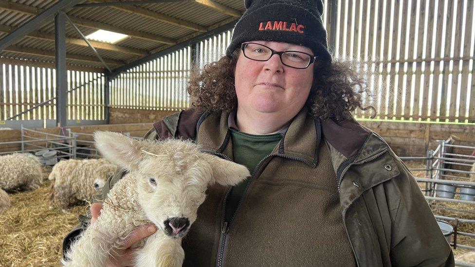 A women holding a baby lamb in a barn on a farm