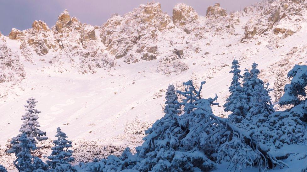 Baldy Bowl, scenic view of snow covered mountains against sky,Mt Baldy,California