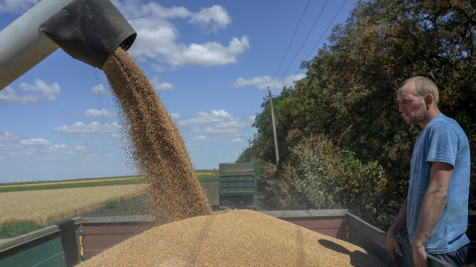 Ukrainian farmers and harvested wheat