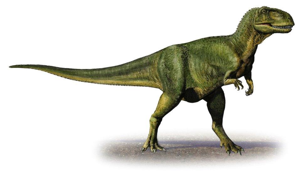 Abelisaurus