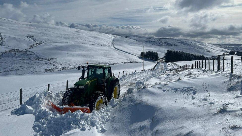 Tractor yn palu drwy'r eira trwchus yn Nrws y Nant, Y Bala