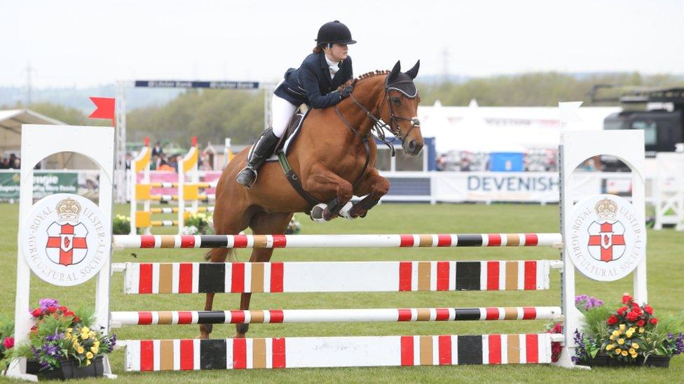 A horse with a rider jumps over a fence at Balmoral Show