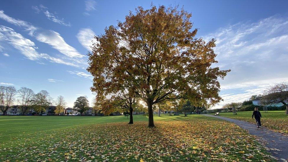 Victoria Park in Bedminster