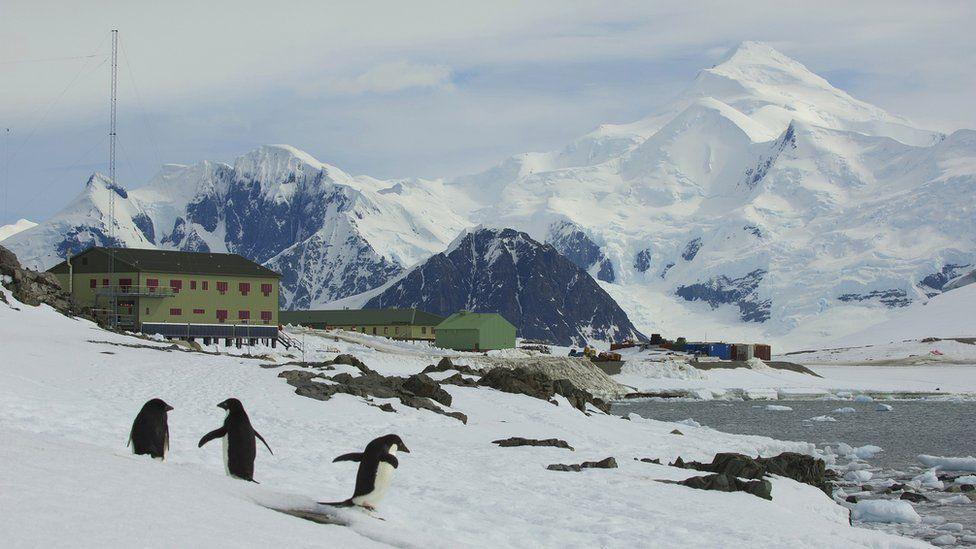 Three penguins are seen on snow near the sea. In the background are some green buildings which are part of Rothera Research Station on Adelaide Island. There are snow-covered mountains in the background