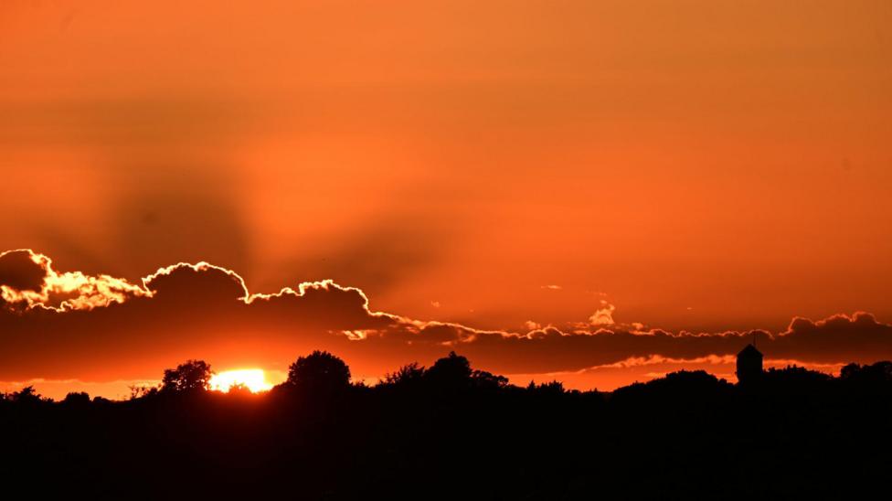Thousands may have died in UK's exceptional May and June heatwaves