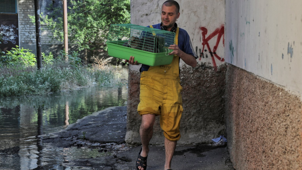 Cats, dogs, cows and other animals have been rescued by Kherson residents as water sweeps through the region