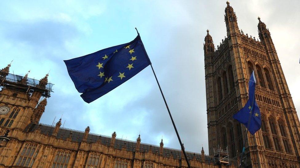 EU flag outside Parliament