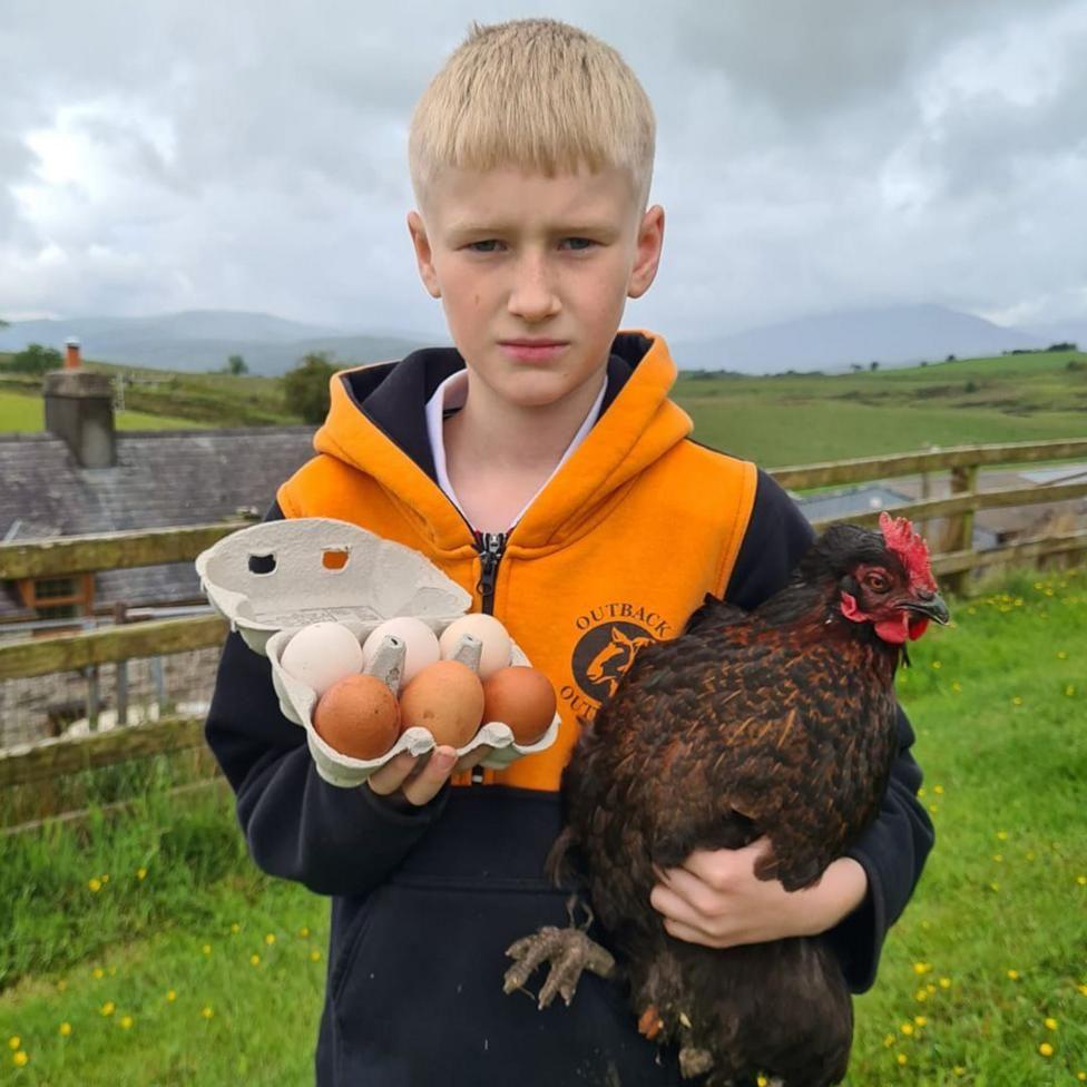  Celt, 10 oed o Nebo ger Dyffryn Conwy.