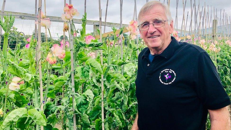 John Rowlands with his plants