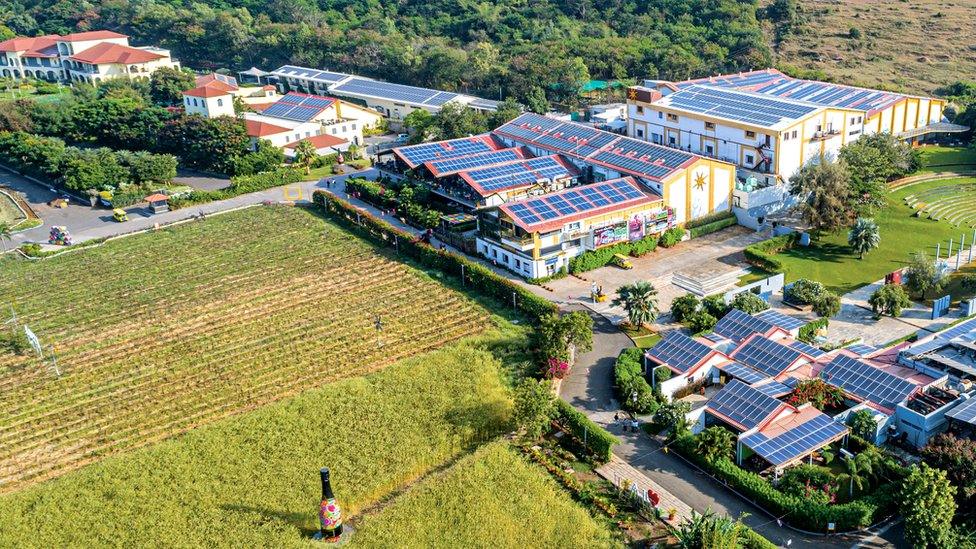 Sula Vineyard in Nashik