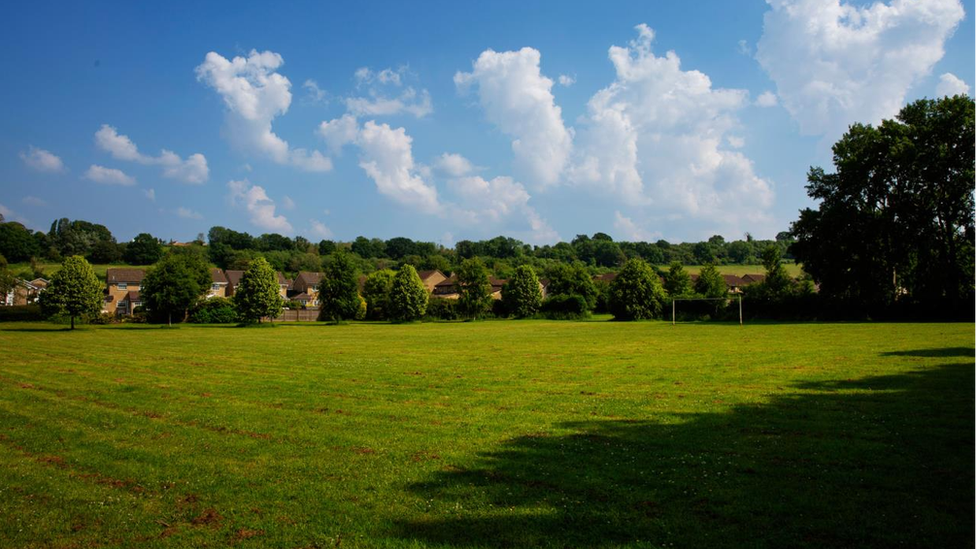 A large green space surrounded by trees