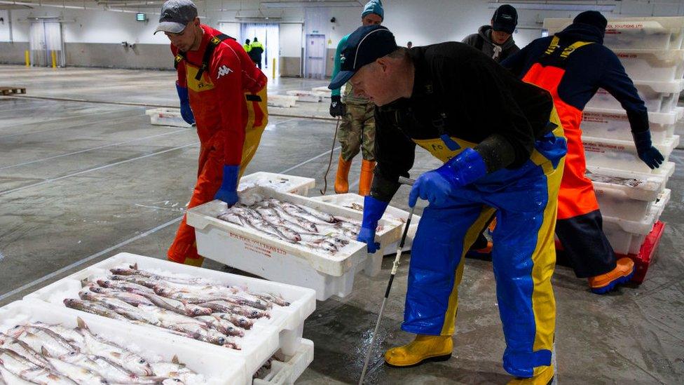 Peterhead fish market