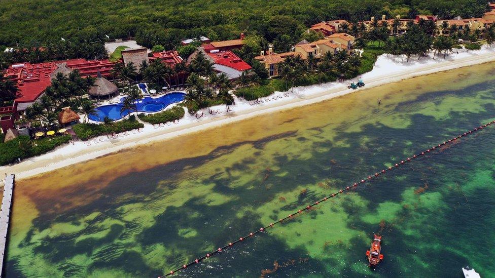 Aerial view of a containment barrier to try to keep Sargassum away from the beach of a luxury hotel in Puerto Morelos, Quintana Roo state, Mexico, on 15 May